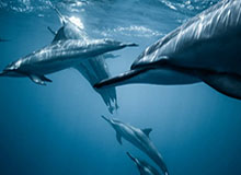 “小个子”邓亚萍：10岁负重30斤训练，教练说“不是这块料”